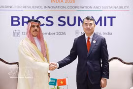 El primer ministro Le Minh Hung recibe al ministro de Asuntos Exteriores de Arabia Saudita, el príncipe Faisal bin Farhan Al Saud. (Foto: VNA)