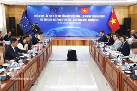 Panorama de la cita (Foto: VNA)