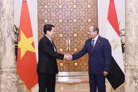 El presidente de Vietnam, Luong Cuong (izquierda), y su homólogo egipcio, Abdel Fattah El-Sisi (Foto: VNA)