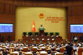 Una sesión de la primera reunión extraordinaria de la Asamblea Nacional de Vietnam de la XVI Legislatura. (Foto: VNA)