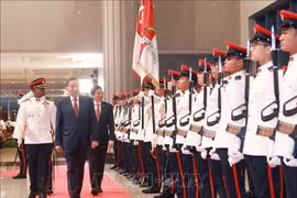 El secretario general del Partido Comunista de Vietnam, To Lam, y el primer ministro de Singapur, Lawrence Wong, pasan revista a la guardia de honor, con motivo de la visita del líder vietnamita a la nación insular (Foto. VNA)