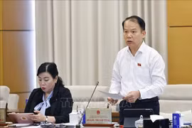 Hoang Thanh Tung, presidente de la Comisión parlamentaria de Derecho y Justicia, interviene en la cita (Foto: VNA)
