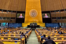 Panorama de la cita (Foto: VNA)