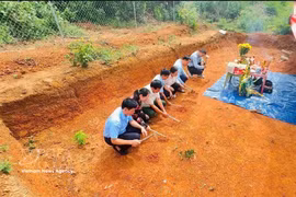 Descubren antiguos artefactos en una tumba de ladrillo en provincia de Nghe An
