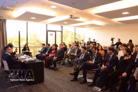 Panorama de la cita. (Foto: VNA)