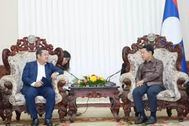 El presidente de Vinachem, Phung Quang Hiep (izquierda), se reúne con el viceprimer ministro de Laos, Saleumxay Kommasith (Foto: VNA)