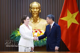 El primer ministro de Vietnam, Le Minh Hung, recibe a la embajadora de Nueva Zelanda en Hanoi, Caroline Beresford. (Foto: VNA)