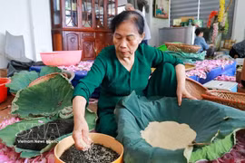Té de loto de Quang An, una joya del patrimonio gastronómico de Hanoi 