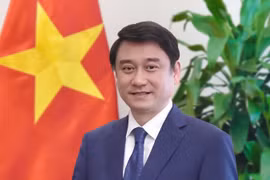 El vicecanciller vietnamita Le Anh Tuan (Foto: Ministerio de Relaciones Exteriores)