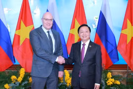 El viceprimer ministro vietnamita, Tran Hong Ha (derecha), se reúne con su homólogo ruso, Dmitry Nikolayevich Chernyshenko (Foto: VNA)