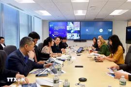 El viceministro de Finanzas Cao Anh Tuan mantiene una reunión de trabajo con Intel. (Foto: VNA)