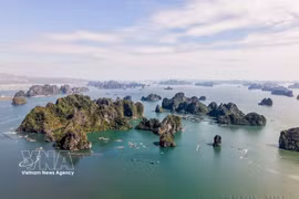 La Bahía de Ha Long es señalada como un ícono turístico mundial, con sus aguas color esmeralda, miles de formaciones kársticas y un ecosistema de gran valor ecológico (Foto: VNA)