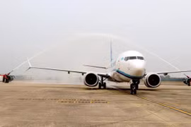 Un avión aterriza en el aeropuerto internacional de Da Nang. (Foto: VNA)