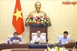 El presidente de la Asamblea Nacional de Vietnam, Tran Thanh Man (centro), habla en la reunión (Foto: VNA)