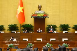 El vicepresidente de la Asamblea Nacional Nguyen Khac Dinh interviene en una sesión. (Foto: VNA)