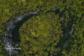 Una exuberante vegetación, con numerosos árboles de gran tamaño, crece en el interior de la dolina en la zona de Cha Noi - Khe Gat, en el Parque Nacional Phong Nha - Ke Bang, provincia de Quang Tri. (Foto: VNA)