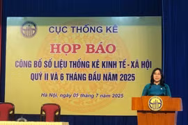 La directora de la Oficina Nacional de Estadísticas, Nguyen Thi Huong, asegura que la situación mundial se ha desarrollado de forma compleja e impredecible durante el primer semestre del año. (Foto: VietnamPlus)