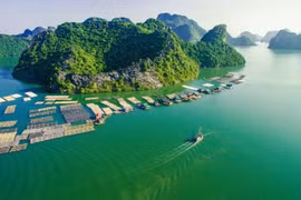 Bahía de Gia Luan-Cat Ba (Foto: VNA)