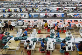 Una sección de la línea de costura en la fábrica TNG Song Cong. (Foto: VNA)