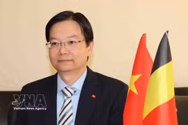 El consejero comercial de Vietnam en Bélgica y la UE, Tran Ngoc Quan (Foto: VNA)