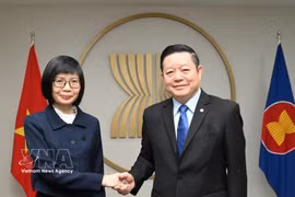 La embajadora Ton Thi Ngoc Huong, representante permanente de Vietnam ante la ASEAN en Yakarta, se reúne con el secretario general de la agrupación, Kao Kim Hourn. (Foto: VNA)