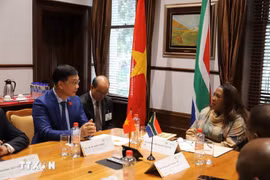 El vicepresidente de la Asamblea Nacional de Vietnam, Vu Hong Thanh, se reúne con la presidenta del Consejo Nacional de Provincias del Parlamento de Sudáfrica, Refilwe Mtshweni-Tsipane (Foto: VNA)