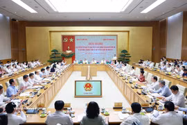 Panorama de la cita. (Foto: VNA)