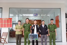 Trinh Quoc Phu lleva el martinete silvestre a la Policía de Quy Nhon Nam para su entrega (Foto: baogialai.com.vn)