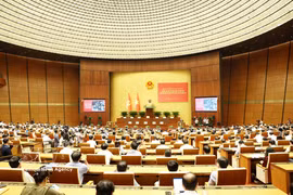 Panorama de la cita (Foto: VNA)