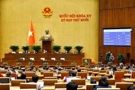 Panorama de la sesión (Foto: VNA)