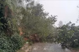Consecuencias de un deslizamiento de tierra en la provincia norteña de Lao Cai (Foto: VNA)