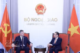 El miembro del Buró Político y ministro de Relaciones Exteriores de Vietnam, Le Hoai Trung (derecha), recibe a Roman Roun, presidente del Partido Comunista de Bohemia y Moravia. (Foto: VNA)