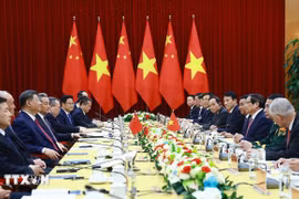 El primer ministro de Vietnam, Pham Minh Chinh, se reunió con el secretario general del Partido Comunista de China y presidente de ese país, Xi Jinping, el 14 de abril de 2025. (Foto: VNA)
