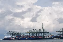 Una vista del puerto de carga en Singapur. (Foto: Xinhua/VNA)