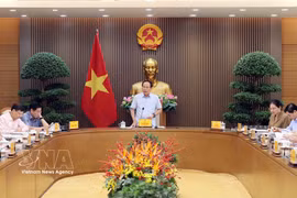 El viceprimer ministro vietnamita Le Tien Chau preside la reunión. (Foto: VNA)