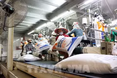 Vietnam ya ha enviado 6,3 millones de toneladas en los primeros ocho meses de 2025 (Fuente: VNA)