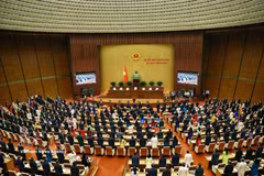 En una sesión de la Asamblea Nacional de Vietnam (Fuente: VNA)