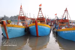 Pescadores vietnamitas se esfuerzan por salir al mar en medio de desafíos