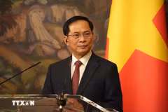 El viceprimer ministro de Vietnam, Bui Thanh Son habla en el evento (Fuente: VNA)