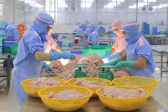 Vietnam alcanza superávit de 1,47 mil millones de dólares