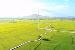 El campo de energía eólica en Dam Nai, Ninh Thuan (ahora Khanh Hoa). Foto: VNA