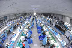 Línea de producción de productos electrónicos en la empresa Suntech, en el Parque Industrial Thanh Van en Bac Ninh Foto: VNA