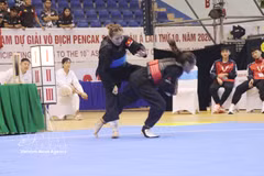 El equipo vietnamita de pencak silat revalida su título de campeón asiático por equipos, al obtener 16 medallas de oro (Fuente: VNA)