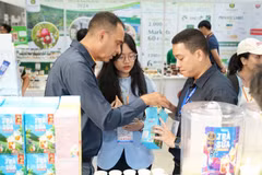El Ministerio vietnamita de Industria y Comercio está revisando y perfeccionando las políticas para ayudar a las empresas a cumplir con los estándares ecológicos (Fuente: VietnamPlus)