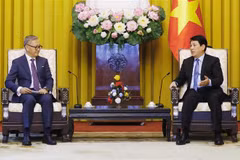 El presidente de Vietnam, Luong Cuong (derecha) se reunió hoy en esta capital con el canciller laosiano, Thongsavanh Phomvihane (Fuente: VNA)