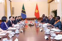 Durante la reunión entre el vicepremier y canciller vietnamita Bui Thanh Son y el ministro de Asuntos Exteriores y Cooperación de África Oriental de Tanzania, Mahmoud Thabit Kombo (Fuente: VNA)