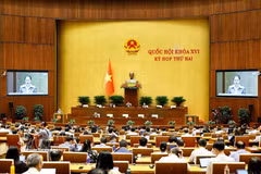 La ministra de Cultura, Deportes y Turismo, Lam Thi Phuong Thanh, autorizada por el Primer Ministro, presentó el proyecto de Ley de Desarrollo de la Industria Cultural. Foto: VNA