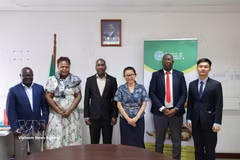 La embajadora Tran Thi Thu Thin y la delegación de la Embajada de Vietnam posan para una foto conmemorativa con el director Jorge Vidigal Fole y altos funcionarios del Instituto de Estudios del Anacardo de Mozambique. Foto: VNA.