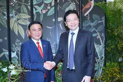 El miembro del Buró Político y permanente del Secretariado del Comité Central del Partido Comunista de Vietnam, Tran Cam Tu, (izquierda) y el secretario general del Partido de Acción Popular de Singapur y primer ministro, Lawrence Wong (Fuente: VNA)