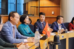 En conversaciones entre la vicepresidenta del Parlamento vietnamita Nguyen Thi Thanh con el primer vicepresidente del Senado de Bélgica, Andries Gryffroy (Fuente: daibieunhandan.vn)